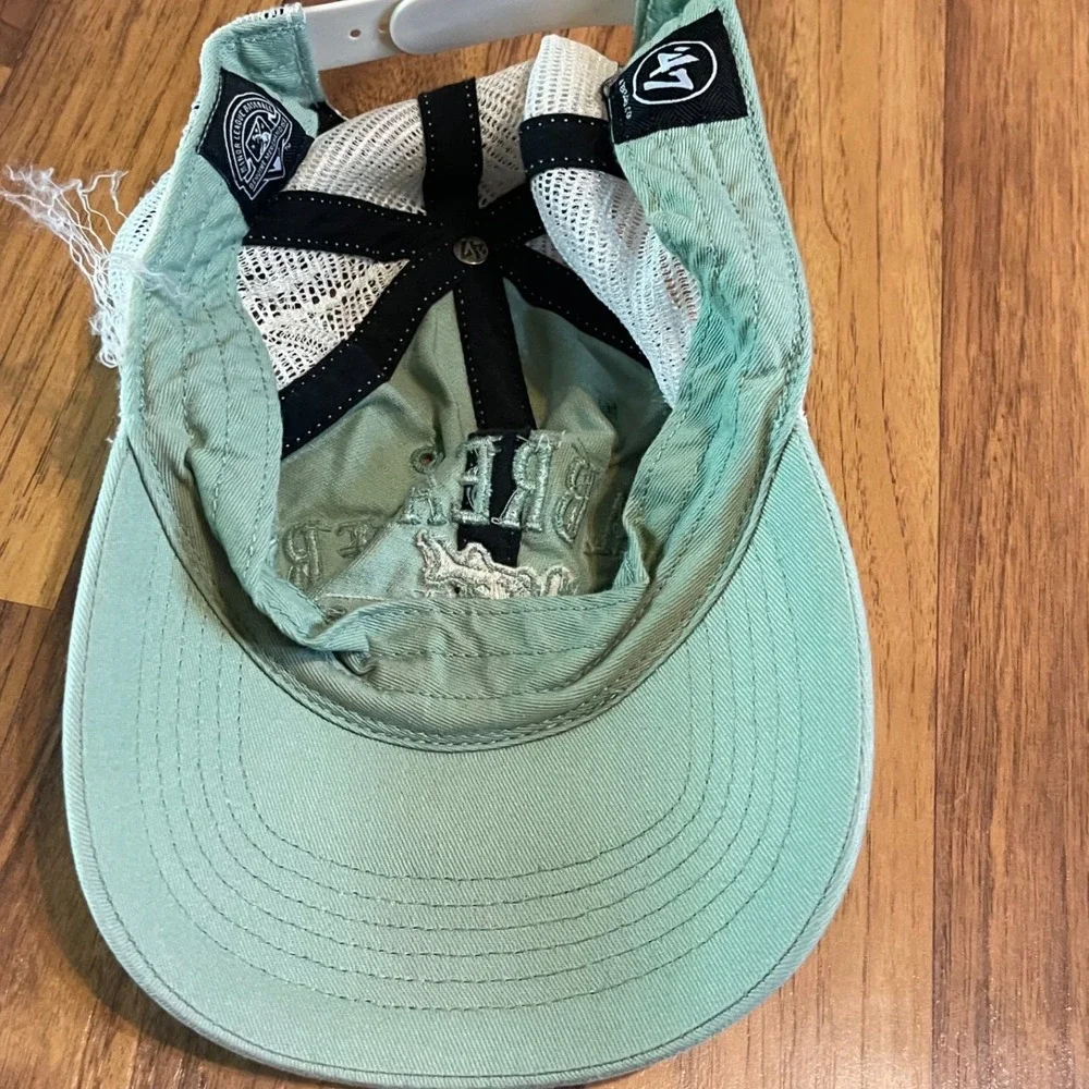 47 Brand Dam Breakers MiLB Trucker Hat Mens OSFM Sage Green Distressed Snapback